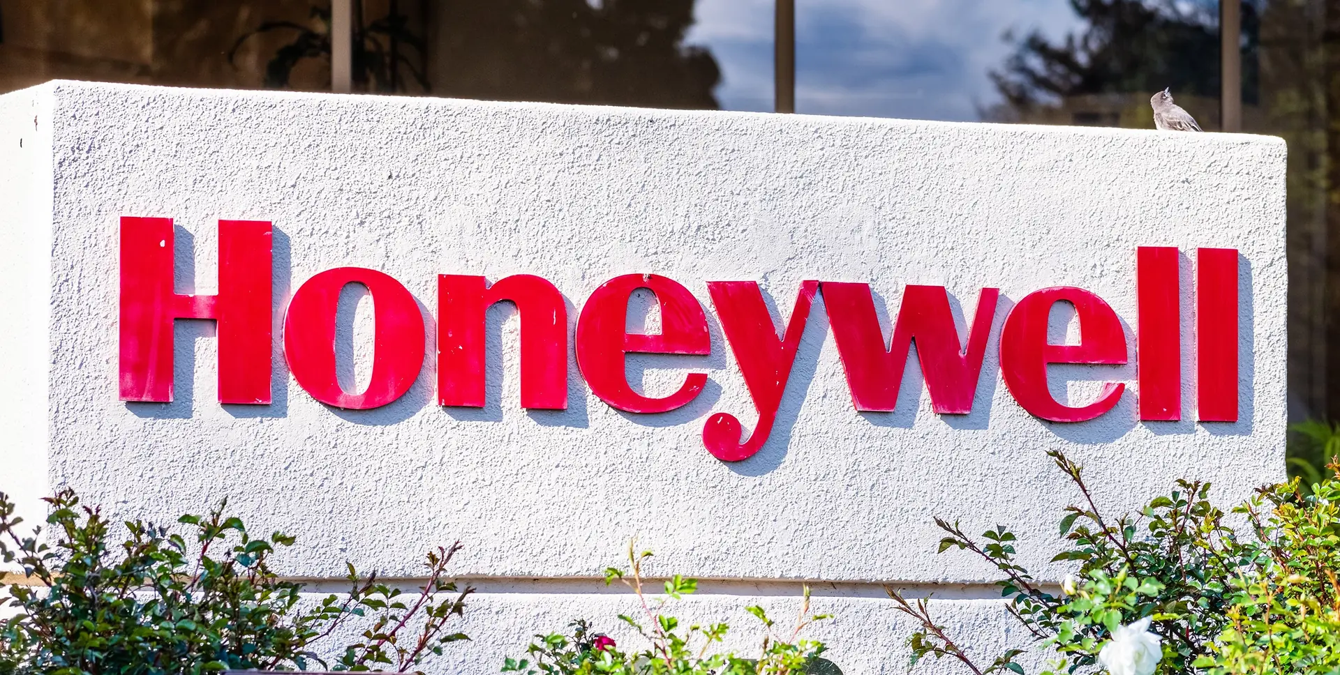 Bold red Honeywell letters stand out on a textured white exterior sign, with leafy green plants below and a small bird perched above.