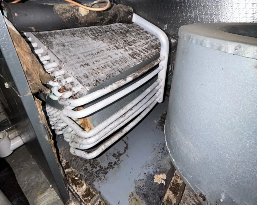 An opened HVAC unit shows dark speckling across its exposed evaporator coil, with white refrigerant lines looping over the metal fins.