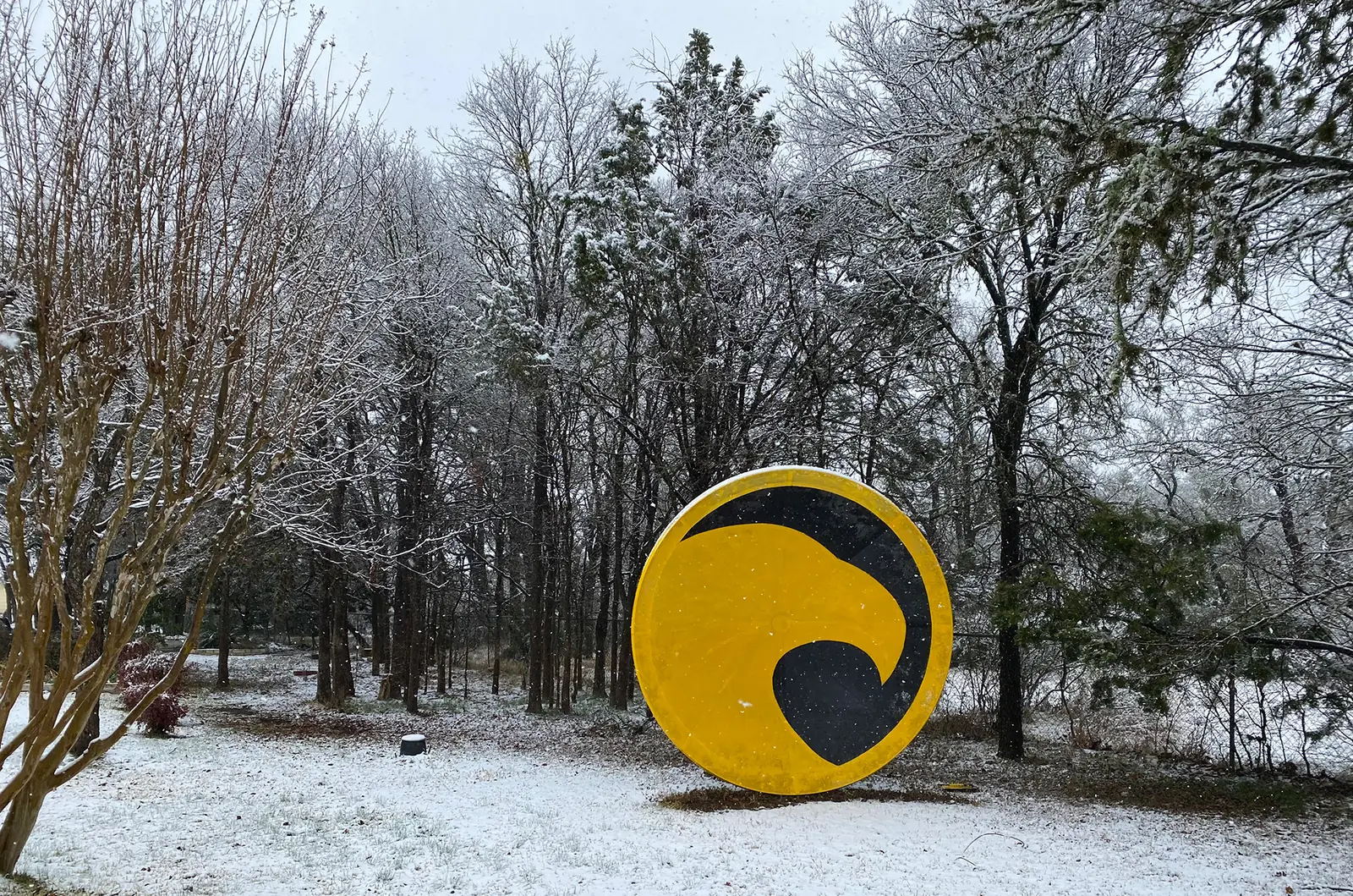 A large gold-and-black Snow Eagle emblem stands among bare trees above a lightly snow-covered lawn beneath a pale winter sky.