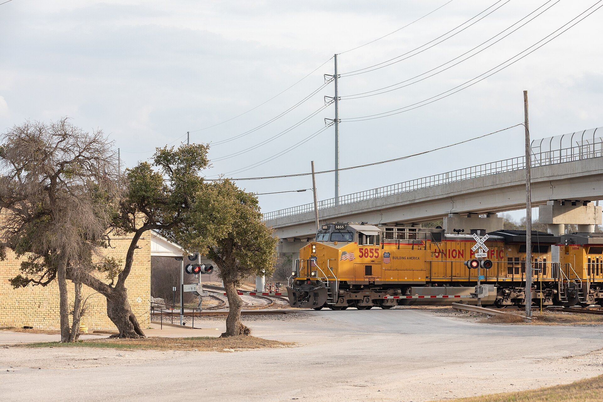 Union Pacific freight train passing the rail crossing in McNeil, Texas, with live oaks and an overpass