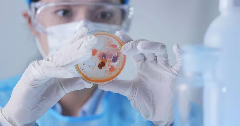 mold test