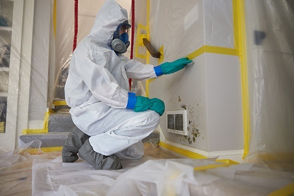 Technician in a protective suit and respirator cleaning mold inside a contained room