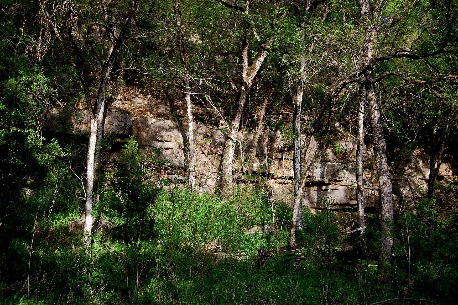 Limestone cliffs and woods along the Barton Creek Greenbelt in Austin, Texas
